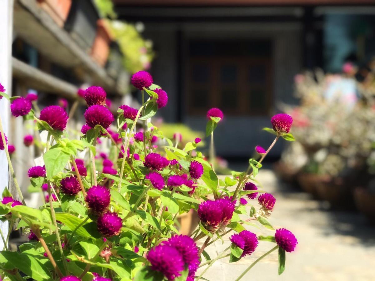 Mangrove House Lanta Old Town Hotel Ko Lanta Екстериор снимка